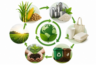 Bioplásticos: Da Inovação Sustentável ao Mercado — Ciência, Tecnologia e Economia Circular